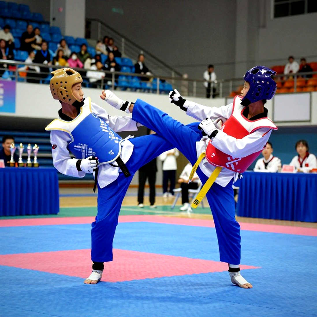 Phân tích chuyên sâu về võ thuật: Những khoảng trống dữ liệu và hệ quả đối với giới truyền thông thể thao Việt Nam